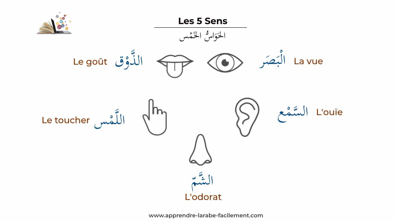 Khamaré en arabe littéraire I Comprendre son sens et son usage